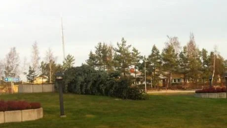 Den stora julgranen i rondellen vid infarten till Västervik blåste ner.Läsarbild: Thomas Nilsson
