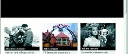 Publiken möter 
Bergman på nätet