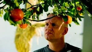 Bra dansk historia.  Ulrich Thomsen som nynazisten och äppelodlaren Adam i danska dramakomedin "Adams äpplen".Foto: Sony