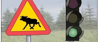 Äntligen smäller det