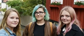 Ungdomarna arbetar ideellt