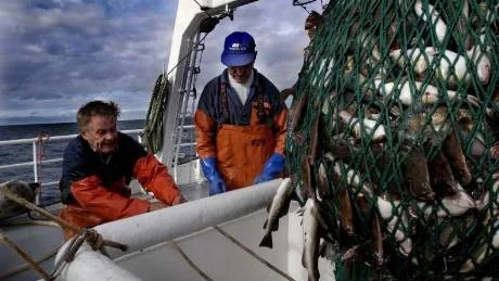 Fiskeproblem. Esbjörn Johansson är kritisk mot både svenska politiker och EU får att ingen lyckats få till stånd en riktig fiske- och skärgårdspolitik.Foto: Daniel Nilsson/SVD/Scanpix