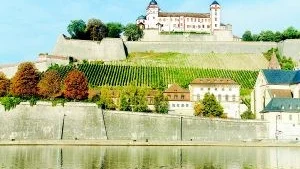 Anrik vinmark. I det tyska distriktet Franken görs världens bästa viner på vitvinsdruvan silvaner. Oktobervinet Franken Silvaner är en bra mineralpräglad representant för denna matvänliga vintyp. Bilden är från fästningen Marienberg i distriktets centralort Würzburg vars vinodlingar har anor från medeltiden.