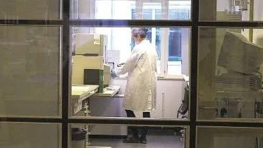 SKL tittar i första hand efter det som polisen vill ha undersökt. Det är förklaringen till att älgpäls och älgsaliv hittades så sent i utredningen.
Foto: Jan Forsby/Folkbladet