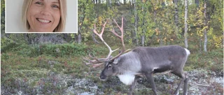 Hålen i stängslet ska lagas: "Det som hänt är jättetråkigt"