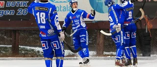 Revanschjakt mot Laik