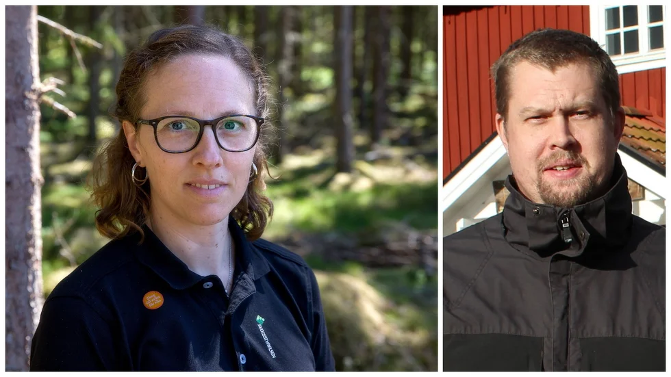 Kerstin Ström och Simon Halling Ekmåne håller koll på granbarkborrarna.