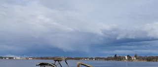 Läsarbilden: Vårflod i Haparanda