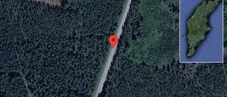 Singelolycka på väg 534