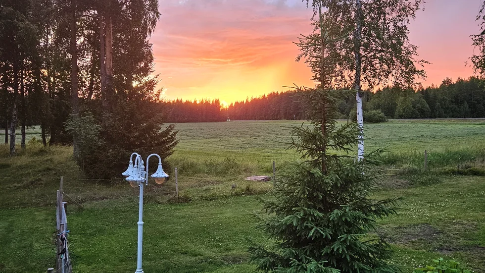 Örarna.