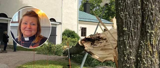 Trädgrenen krossade kyrkfönstret – mitt under gudstjänsten