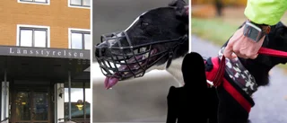 Efter attackerna: Hund i Skellefteå måste bära munkorg