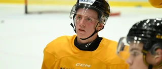 Skellefteås backtalang kallas in till Juniorkronorna