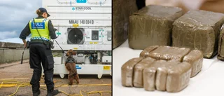Rekordår för beslag hos tullen – stort flöde av narkotika