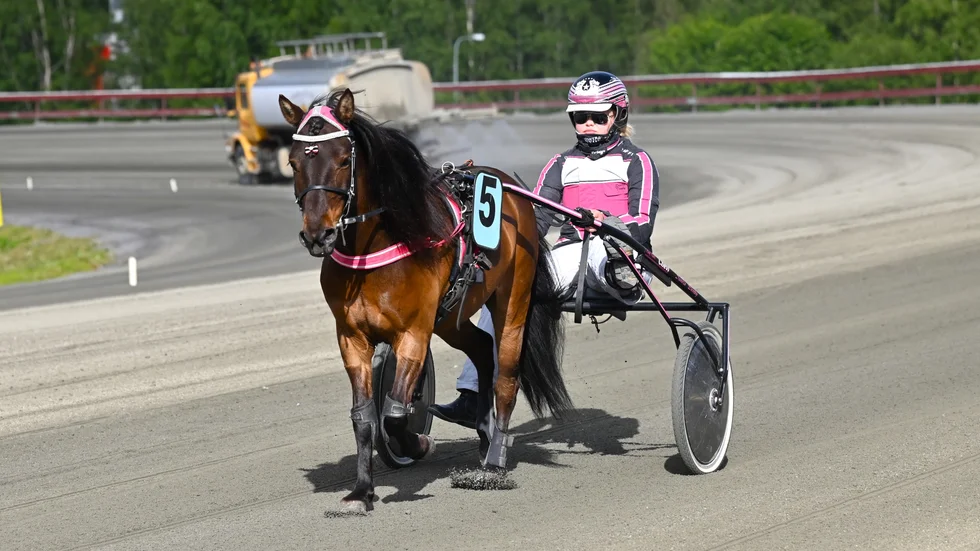 Midsommartravet 2024.