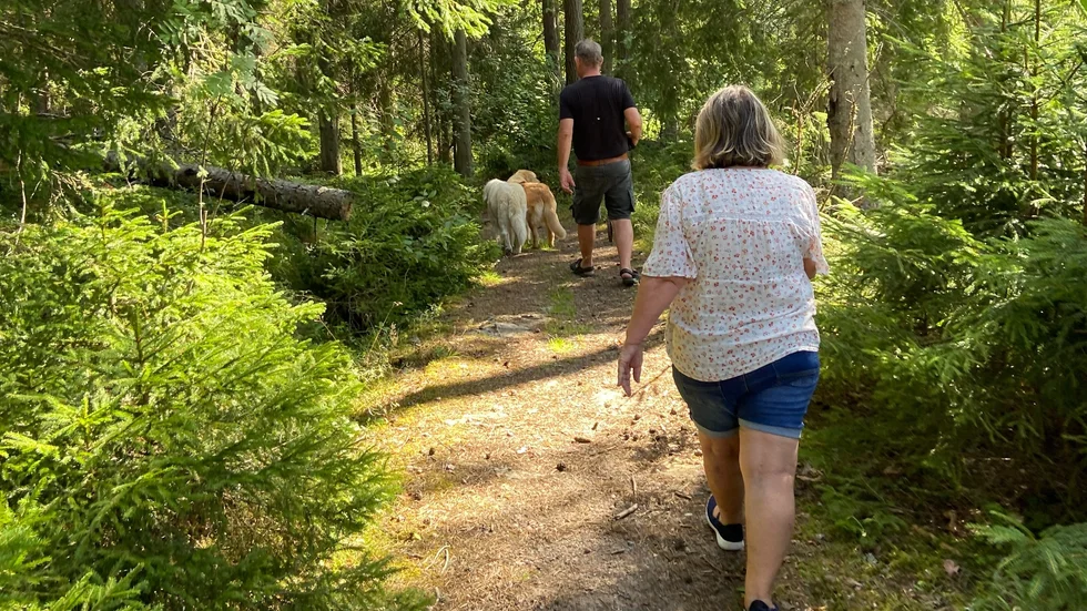 "Här uppe finns en gammal fornborg med utsikt över hela Finspång. Men det är inte så lätt att ta sig dit upp, och det tycker jag är synd", säger Peter Gilenmyr.