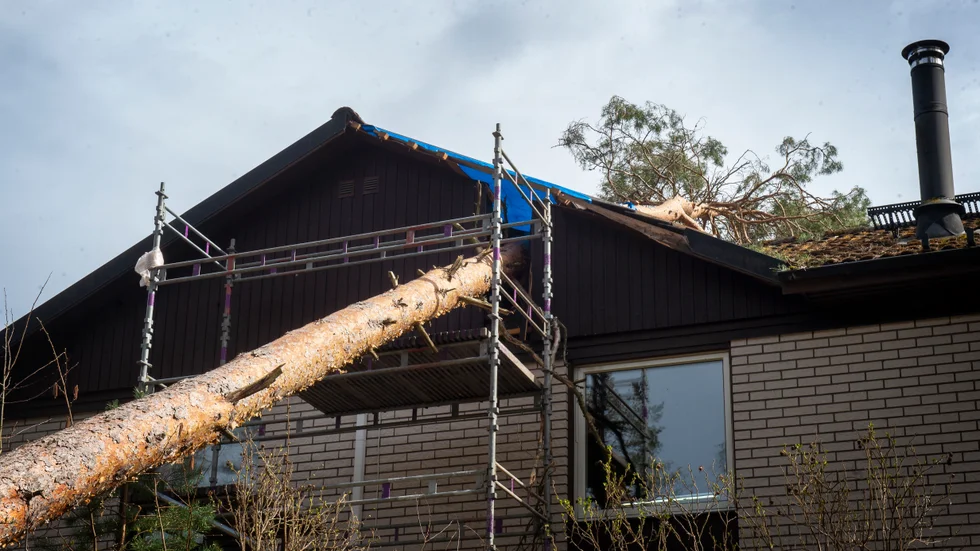 Trädet föll rakt på Thomas Hovermans hus. 