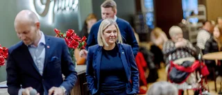 S-ledarens oro: "Vinstintressen leder sällan rätt"