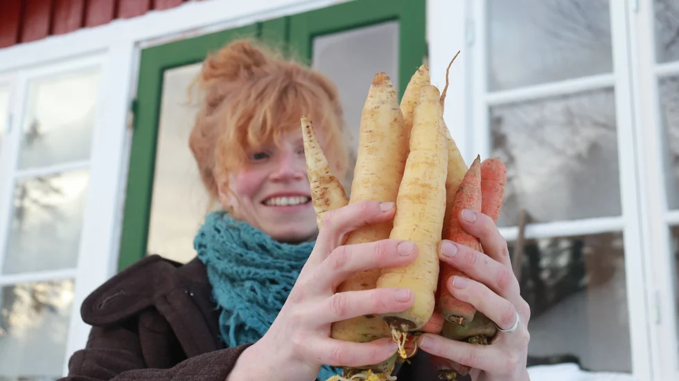 The carrots from the 2023 harvest, including the varieties White Satin and Bolero, are expected to last until April.