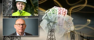 Nya kängan mot storsatsningarna: Elpriset kan höjas dramatiskt
