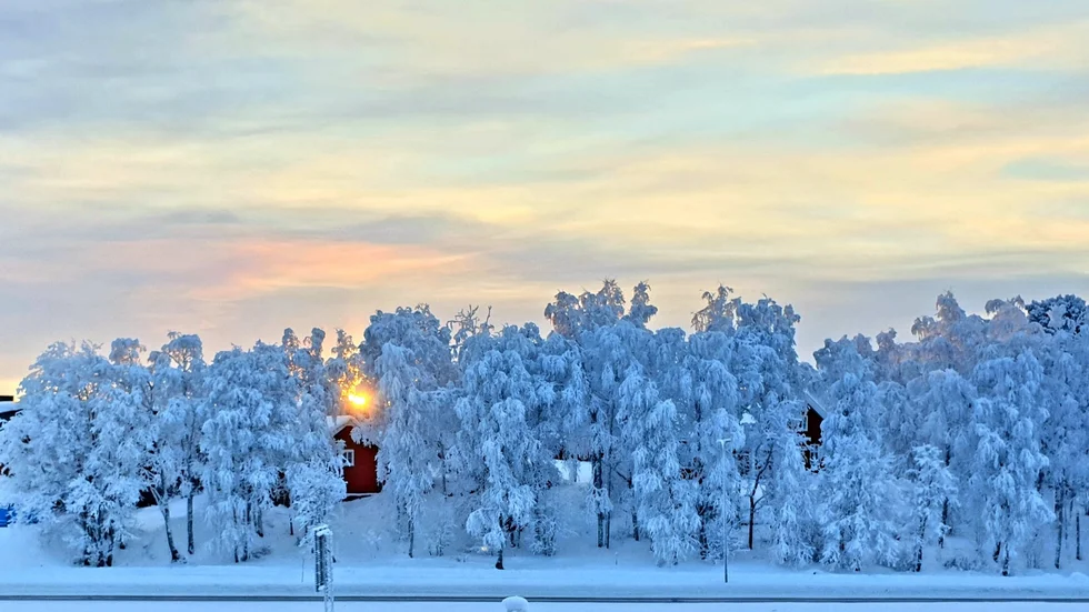 Dagens bild.