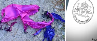 Prideflaggor brändes i Visby – nu inleds förundersökning
