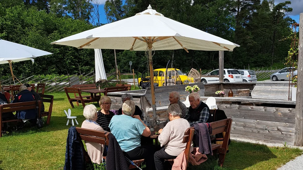 Lunch i det gröna.