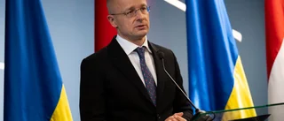 Ungersk minister om Natointräde: Timmar kvar