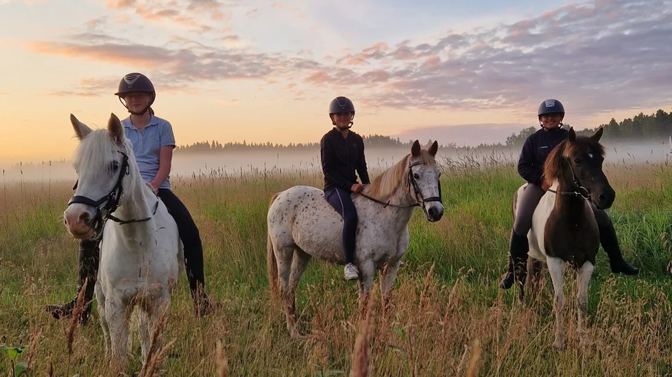 Kärleken till hästar i sommarnattens dimma. Från vänster: Mathilda Wincent, Nathalie Wincent och Cornelia Lillbacka.