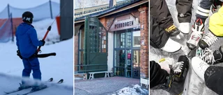 Fem saker du kan göra under sportlovet 