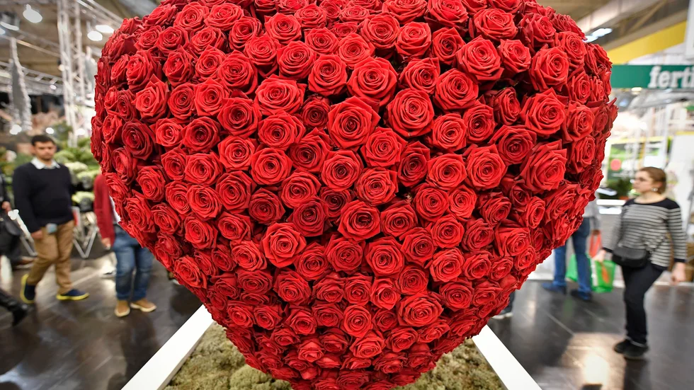 Röda rosor är vanligt förknippade med alla hjärtans dag. Kommer du ge någon blommor i dag?