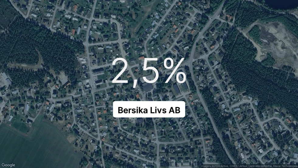 Illustrationen visar rörelsemarginalen för Bersika Livs för det senaste året. Bakgrunden är en satellitbild över företagets adress.