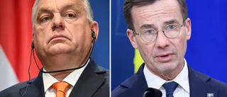 Kristersson till Budapest: "Naturligt"