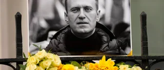 Ukraina: Navalnyj dog av blodpropp
