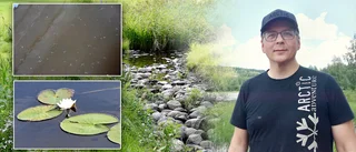 Fiskeprofil gläds åt framsteg i Bodensjöarna: "Häftigt!"