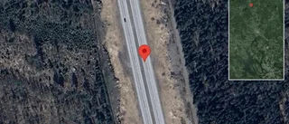 Varnar för rådjur på vägen på E4
