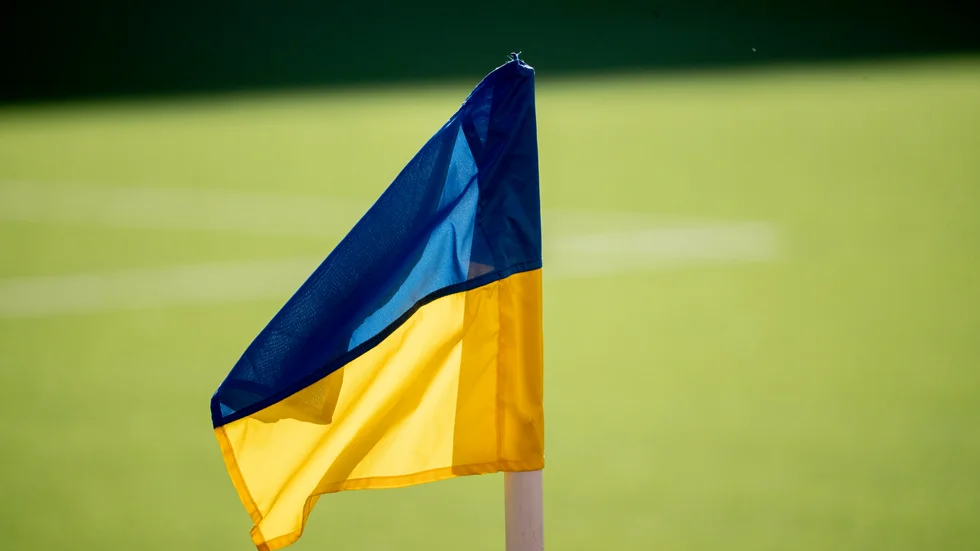 Ta tillvara på Ukrainarnas kompetens. 