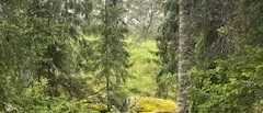 Läsarbild: Ormbergets motionsområde