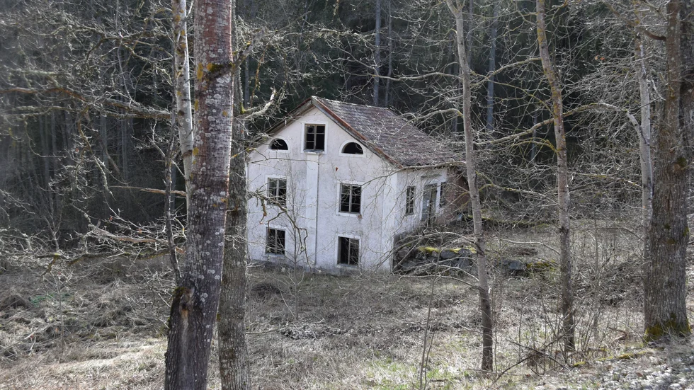 Huset gränsar till Holmtebo naturreservat med gammelskog och rödlistade insekter.