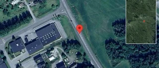 Trafikverket varnar för hund på vägen på E22