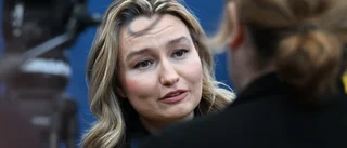 Busch om elstödet: Eländigt och komplext