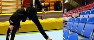"Större behov för gymnastik än för hockey i Västervik"