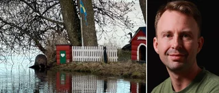 Bäverinvasion – på Ankholmen: "Jag tycker det är charmigt"