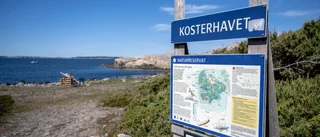 Använd din röst för klimatet och naturen