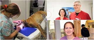 Stora prisskillnader hos veterinärerna