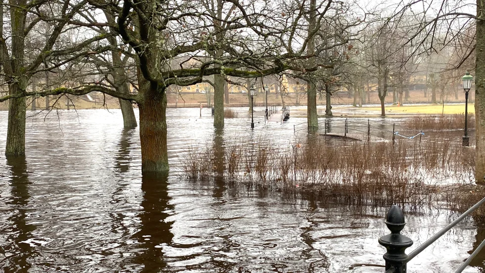 Gångstråken i Slottsparken ligger delvis under vatten.