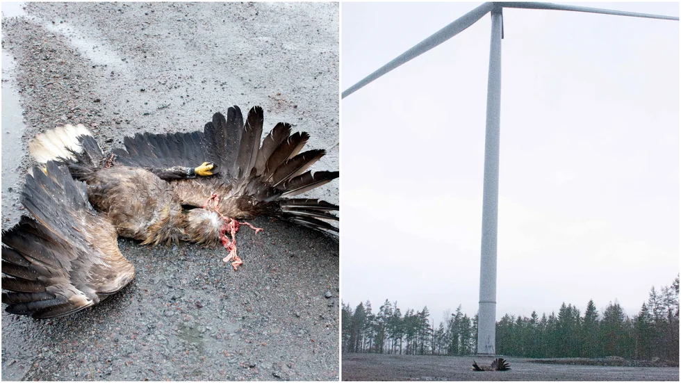Bilderna tog Larsgunnar Nilsson när han besökte vindkraftverket förra måndagsmorgonen. 