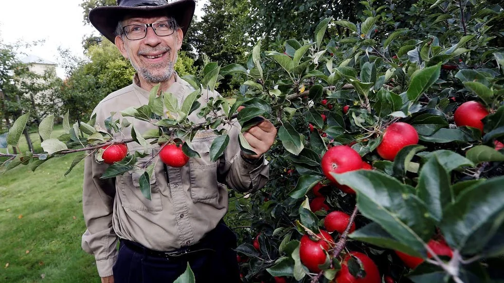 Förra året var ett rekordår för mustproduktionen, i år ser det betydligt sämre ut, uppger Gunnar Kjellin på Brunneby musteri.