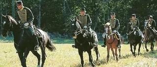 Hästen till nytta och nöje