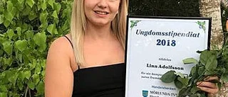 De letar efter nästa ungdomsstipendiat